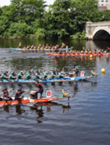 Several teams in in a kayak competition 